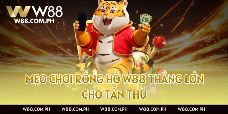 Mẹo chơi Rồng Hổ W88 thắng lớn cho tân thủ
