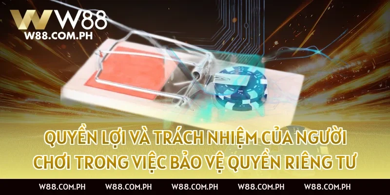 Quyền Lợi Và Trách Nhiệm Của Người Chơi Trong Việc Bảo Vệ Quyền Riêng Tư