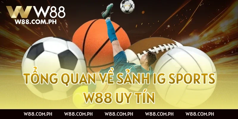 Tổng quan về sảnh IG Sports W88 uy tín